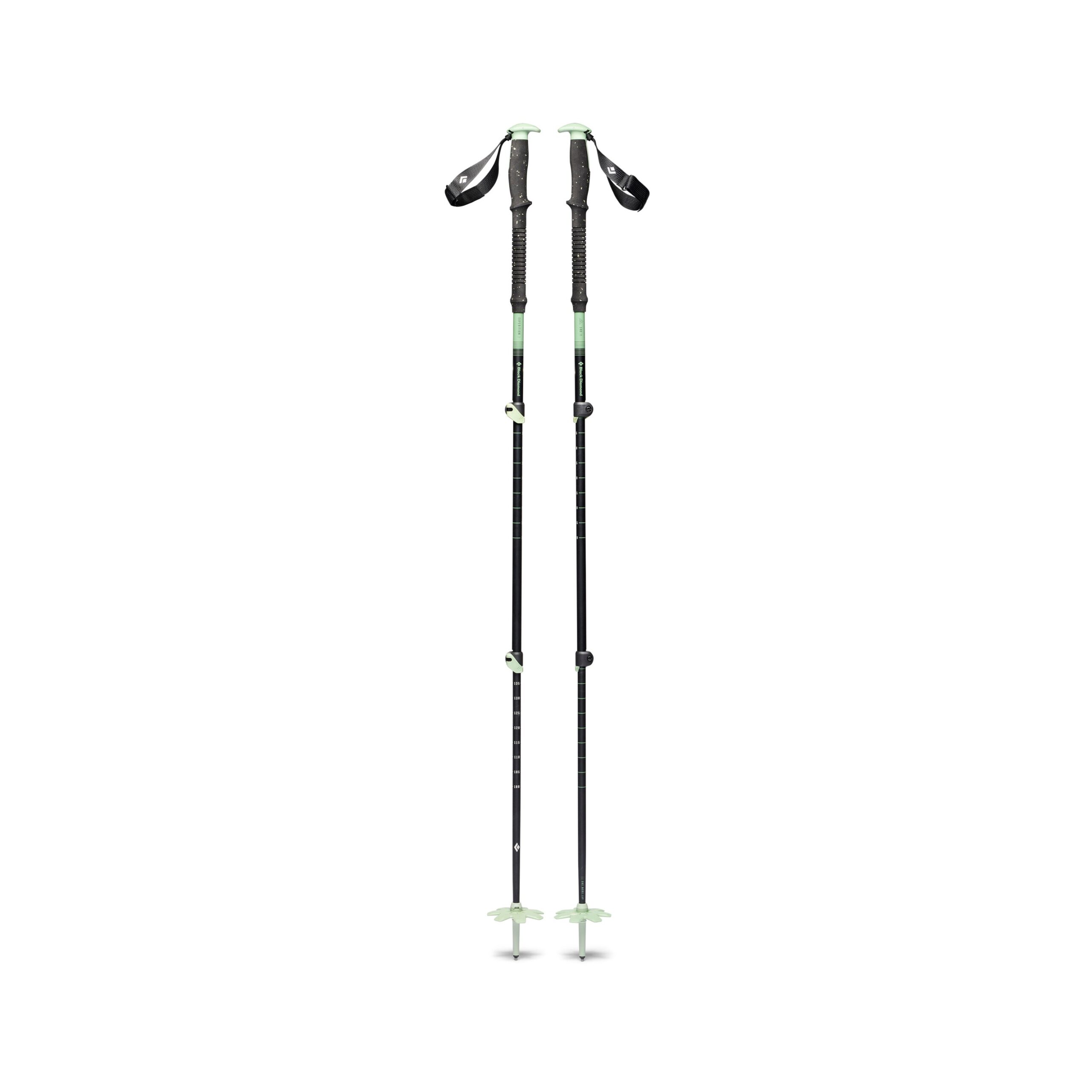 111616_Expedition_3P_Ski_Poles_desert_sage_01